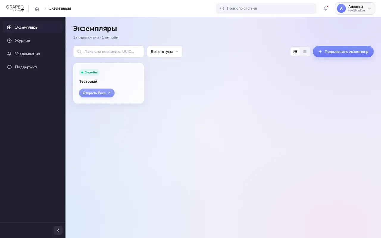 Список подключённых экземпляров со статусом "Онлайн"